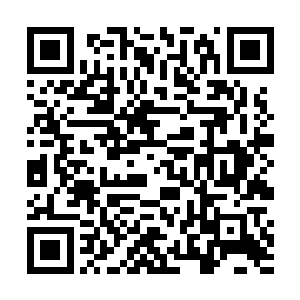 但林辰却是凭借着强大的六识将其身影观看的一清二楚二维码生成