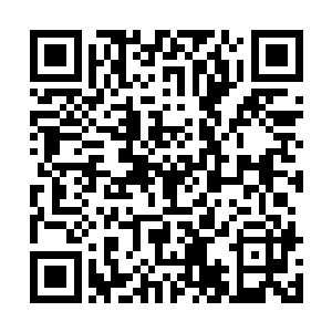 但查尔斯这个可爱的it暴发户这辈子也难得穿一次西装二维码生成