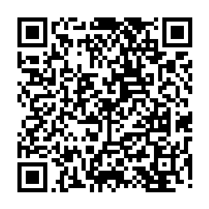 但树干上却留下了斑斑焦痕菩提树也仿佛是忽然得到了某种力量的滋养一样二维码生成