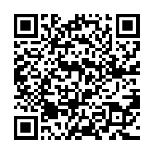 但楚旬却依旧是状若疯狂的朝着塔尔塔罗斯发起进攻二维码生成