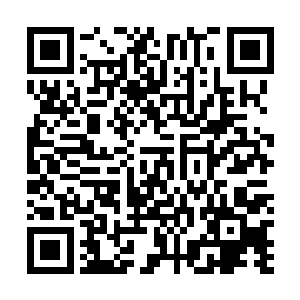 但楚暮依然坚决的回绝借出空间腕轮和三十万学分的提议二维码生成