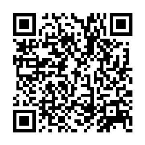 但楚暮还是从他的眼底发现看到一闪而过的恼怒二维码生成
