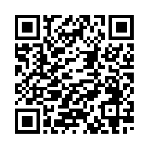 但楚枫兄弟确实是或不可缺的一员二维码生成