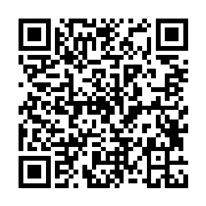 但楚枫可以凭借武者商会会长给他的传送符逃脱二维码生成