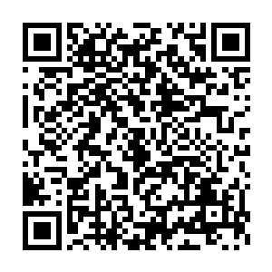 但正是南方四堂堂主发挥出来的实力令所有的天尊大修士都感觉到震惊二维码生成
