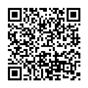 但此人却有些小人得志的嚣张和狗仗人势的跋扈二维码生成