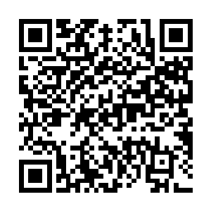 但此刻凌驾于众人头顶的真仙级别的力量却是千真万确二维码生成