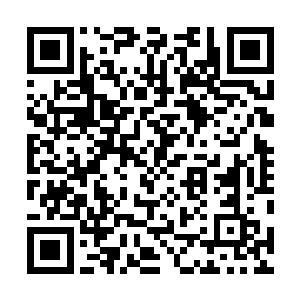 但此刻前方有两名实力达到圣皇九重天的盖世强者才开路二维码生成