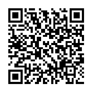 但此刻王和虎帝两人见剑尘大摇大摆的接近兽神殿二维码生成