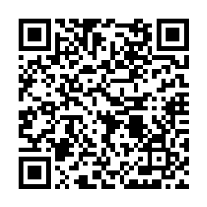 但此时也只得一咬牙把琼脂打扮好了去给赵刚献茶二维码生成