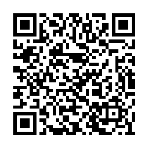 但此时也明显能感到胸前那对鼓囊囊的小黄梨儿二维码生成