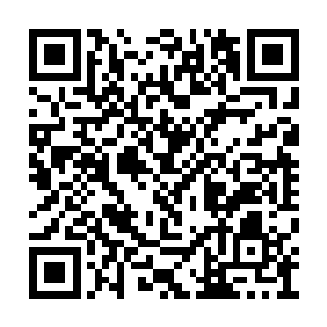 但此时的蛇魔奇牙却早已经看破了自己的封印术二维码生成