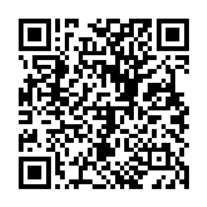 但此时雷球的爆炸也弥漫了苏林身体周围数十丈的距离二维码生成