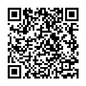但每一次下去的人不是捆绑在他们身上的绳子断掉了二维码生成