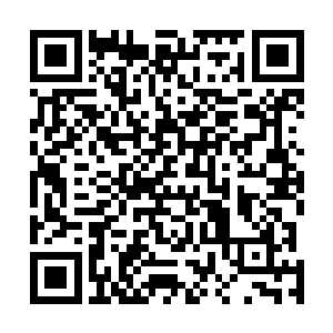 但每一颗铸体丸都要凝聚上百头凶兽的精华才能炼制出来二维码生成