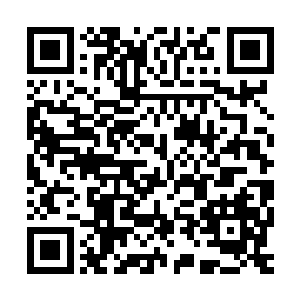 但每次天空拍卖会拍卖品的价值总额都超过了10亿标准晶核以上二维码生成