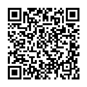 但毕竟我也做了一件和爹爹当年一样的事情出来二维码生成