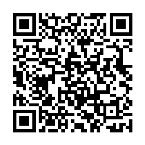但没想到会在快回到葛府的时候被人给突然拦截住了二维码生成