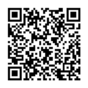 但没想到在自己最擅长的领域……却输得如此之惨二维码生成