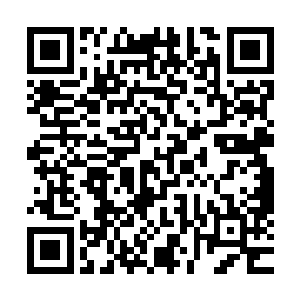 但没想到貌似较为柔和端庄的易盈枫竟是吟唱的更加令人心跳二维码生成