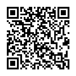 但没有一个人施展的时候能让金圣银圣产生这么大的变化二维码生成