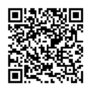 但没有那个妖禽能掩盖神鸟凤凰那鸟中之王的风采二维码生成