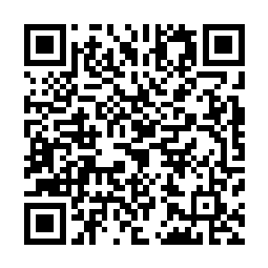 但没过多久青蛇就不再用那双阴冷的竖瞳直勾勾地看着他了二维码生成
