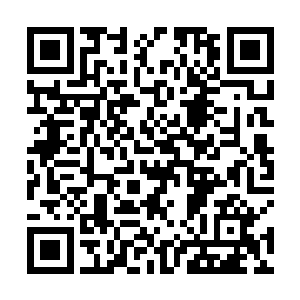 但深入到记忆残片存储地的四魂却都没有急匆匆的鲁莽二维码生成