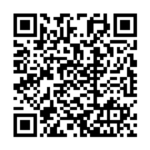 但清晰明了的节奏还是让每一个人都不由自主融入其中二维码生成