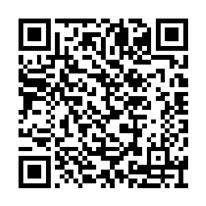 但灵性大失……若是不能恢复他神魂的灵性……二维码生成