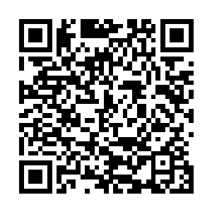 但牙齿下的唇瓣就足够刺激了――虽然好莱坞很流行贴面礼二维码生成