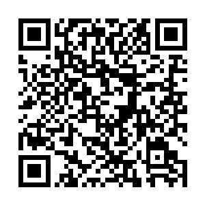 但猎海联盟和四大宗派接下来要如何处置鳄蛟岛的归属二维码生成