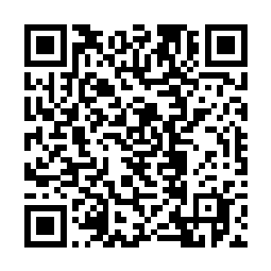 但玛丽做的事其实很多时候都是经理人范畴内的工作二维码生成