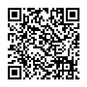 但现在他俩就只穿一条沙滩裤和t恤斜躺在沙滩椅上抽雪茄二维码生成