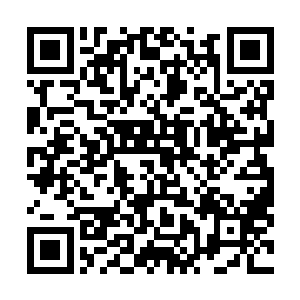 但现在他却发现自己越来越看不明白牧夫人究竟在想什么二维码生成