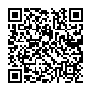 但现在大卫的眉宇之间却可以清晰感触岁月的痕迹二维码生成