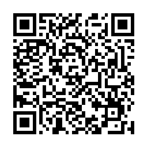但现在她只会觉得自己在他们未变的称呼中永远长不大二维码生成