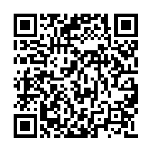 但现在的萧雷有着一些顾忌难以放开手脚的拼命二维码生成