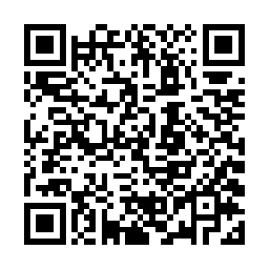 但现在看到林镇通所施展的邪龙剑法第一招邪龙探爪二维码生成