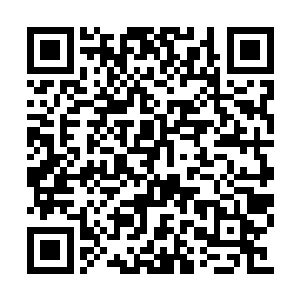 但现在能跟巴克配合进入鬣狗铁锤等人没有抵达二维码生成