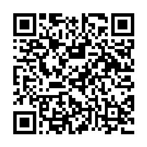 但现在苏方航这个情况显然是不适合做长时间的对话的二维码生成