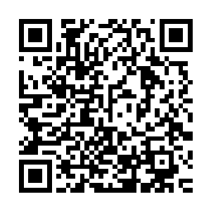 但现在这个队伍并不知道夏天是为了昊天镜的碎片偷袭他们的二维码生成