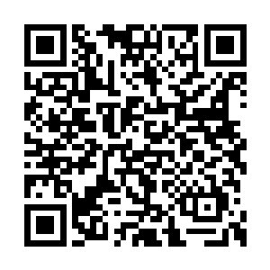 但现如今的无疆海乱局已经去到了一个前无古人二维码生成