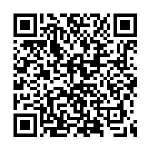 但现实的压力对于孩子们来说暂时还算不了什么二维码生成