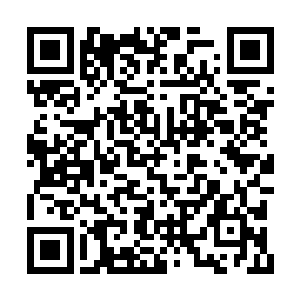 但由于俱乐部招募了更加年轻也更具潜力的西浅二维码生成