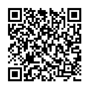 但由于瞬间实力的暴增子弹紧紧卡在叶秋的肌肉里二维码生成