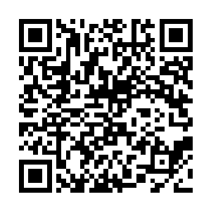 但由于这佛门力量对于这恶念等邪恶力量的克制能力二维码生成