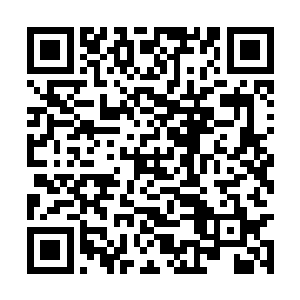 但申屠莹莹和侍者的对话他依然一字不漏的听清了二维码生成