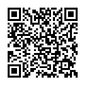但画笔摩擦纸张的沙沙声显示出他的心情很平静二维码生成