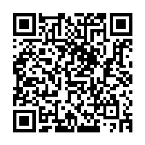 但白小飞硬起心肠不理她--虽然说以前有几次冒险都带着露露二维码生成